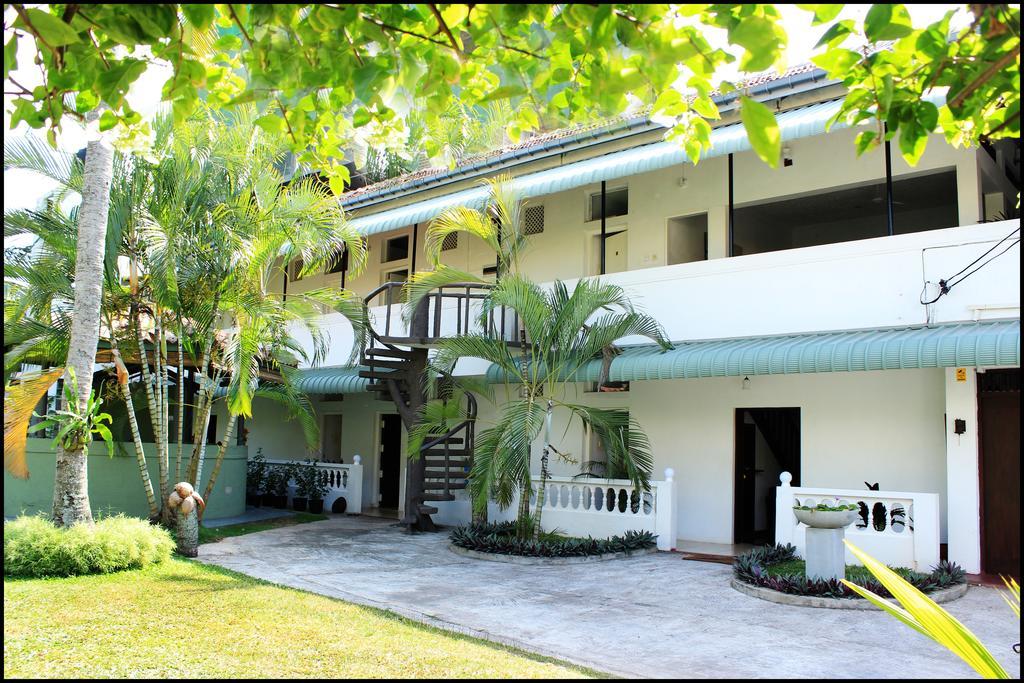 Mount Villa 拉维尼亚山 外观 照片